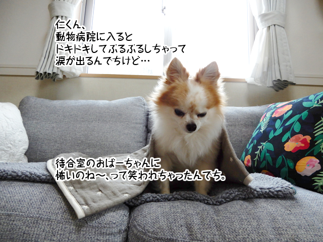 f:id:mama-mamico:20190123114256j:plain f:id:mama-mamico:20190123114256j:plain