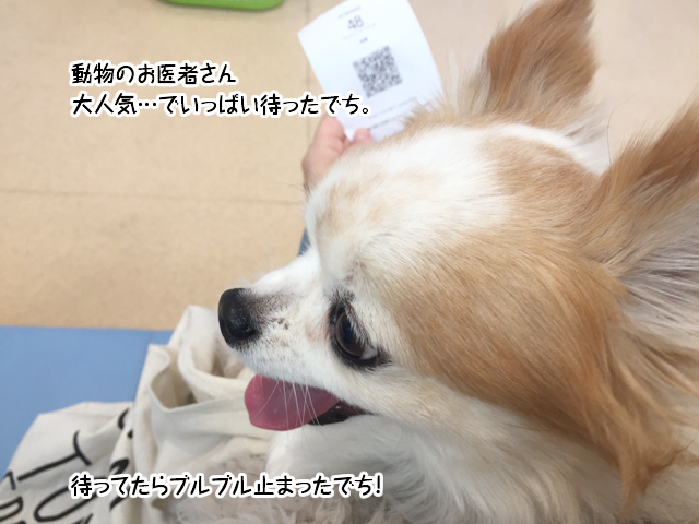 f:id:mama-mamico:20190123114311j:plain f:id:mama-mamico:20190123114311j:plain