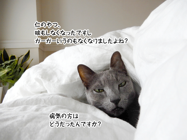 f:id:mama-mamico:20190123114329j:plain f:id:mama-mamico:20190123114329j:plain