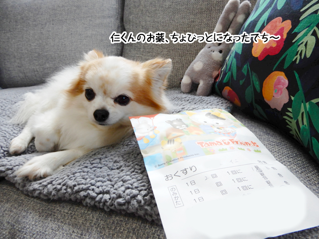 f:id:mama-mamico:20190123114338j:plain f:id:mama-mamico:20190123114338j:plain