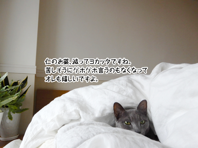 f:id:mama-mamico:20190123114347j:plain f:id:mama-mamico:20190123114347j:plain