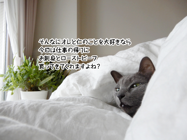 f:id:mama-mamico:20190123114358j:plain f:id:mama-mamico:20190123114358j:plain