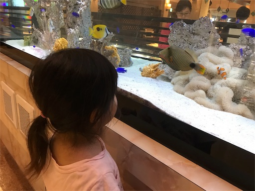 f:id:mama-miler:20190113205408j:image f:id:mama-miler:20190113205408j:image