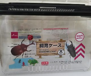 100均 ダイソーでカブトムシの飼育ケース購入しました ママfp まーな Happy Smile