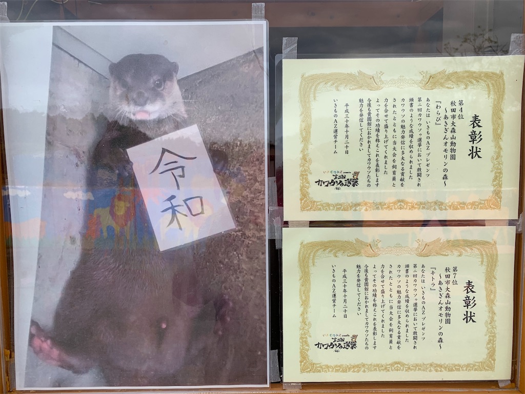 f:id:mama_3children:20191014234530j:image f:id:mama_3children:20191014234530j:image