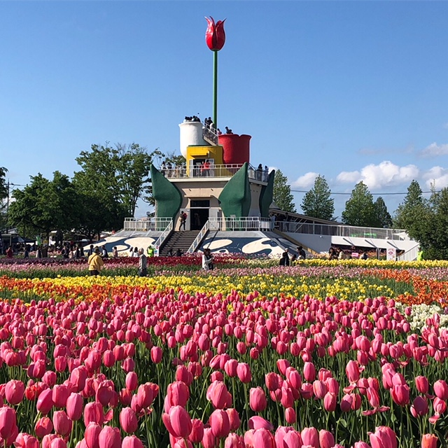 f:id:mama_blog:20180507145101j:plain