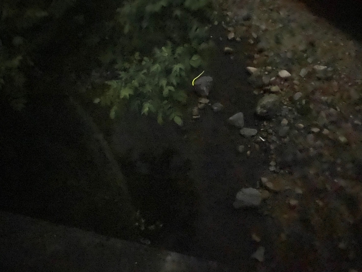 f:id:mama_blog:20200610141022j:plain