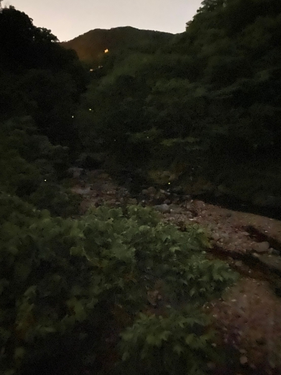 f:id:mama_blog:20200610141027j:plain