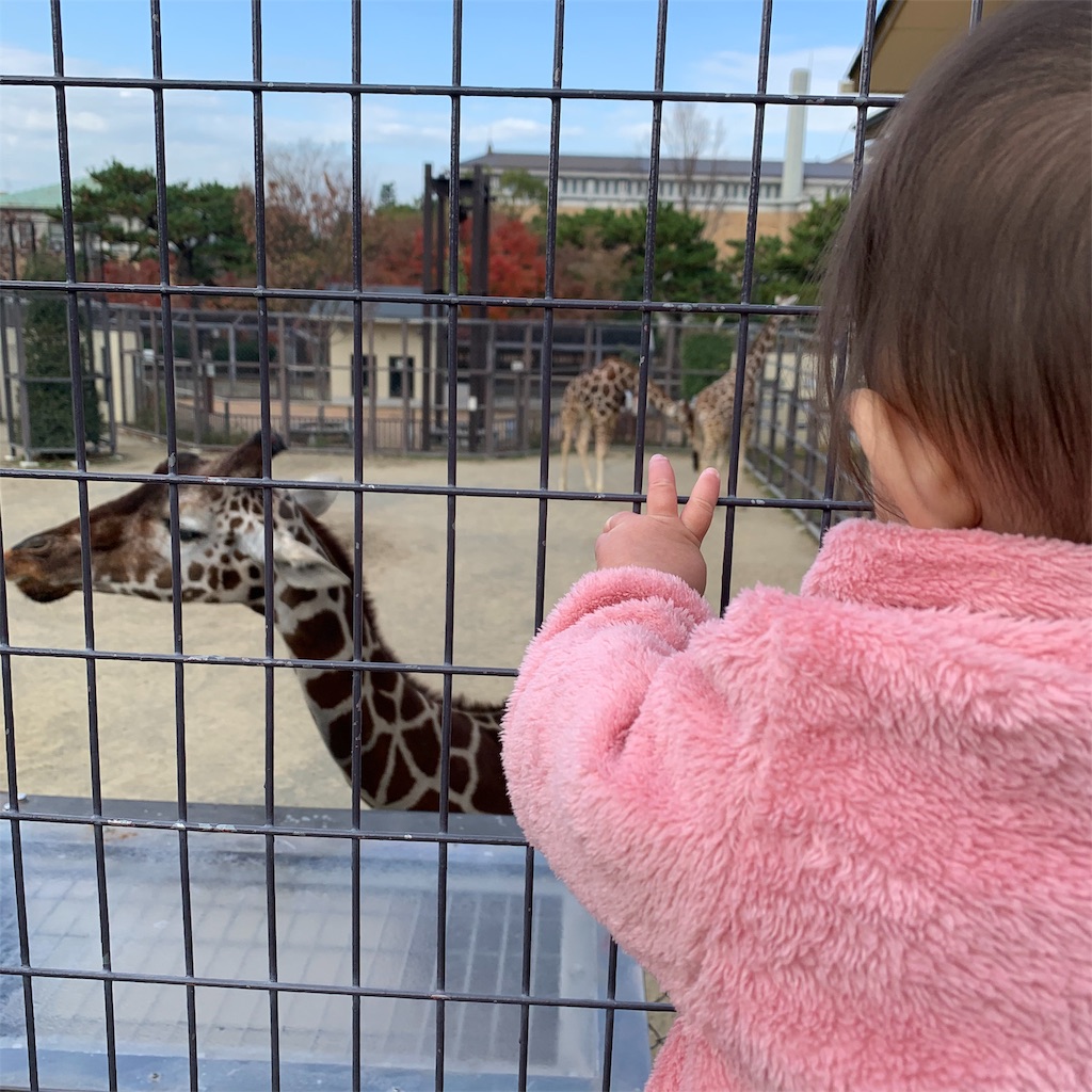 f:id:mamabeginner:20191216082628j:image f:id:mamabeginner:20191216082628j:image