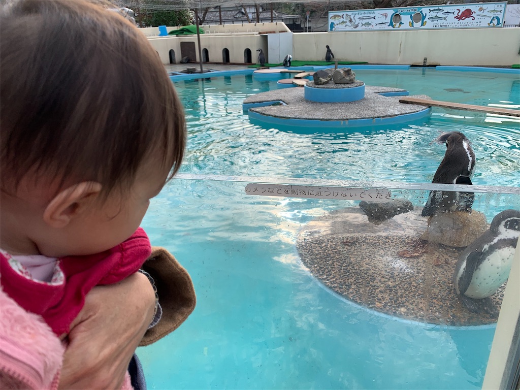 f:id:mamabeginner:20191216082700j:image f:id:mamabeginner:20191216082700j:image