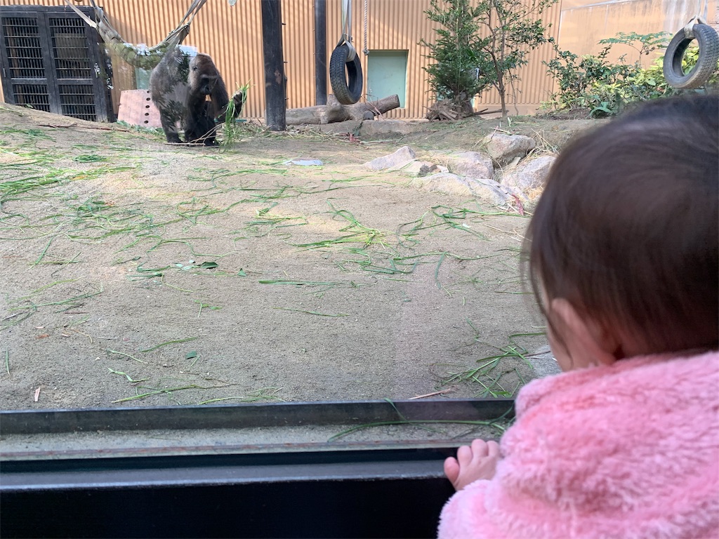 f:id:mamabeginner:20191216082729j:image f:id:mamabeginner:20191216082729j:image