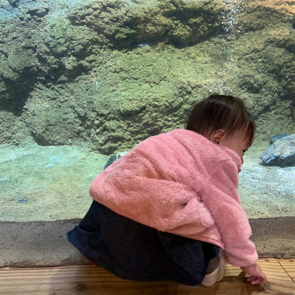 f:id:mamabeginner:20191216082841j:image f:id:mamabeginner:20191216082841j:image