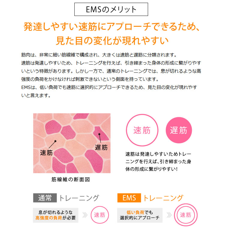 f:id:mamabiyou:20161229112420j:plain f:id:mamabiyou:20161229112420j:plain