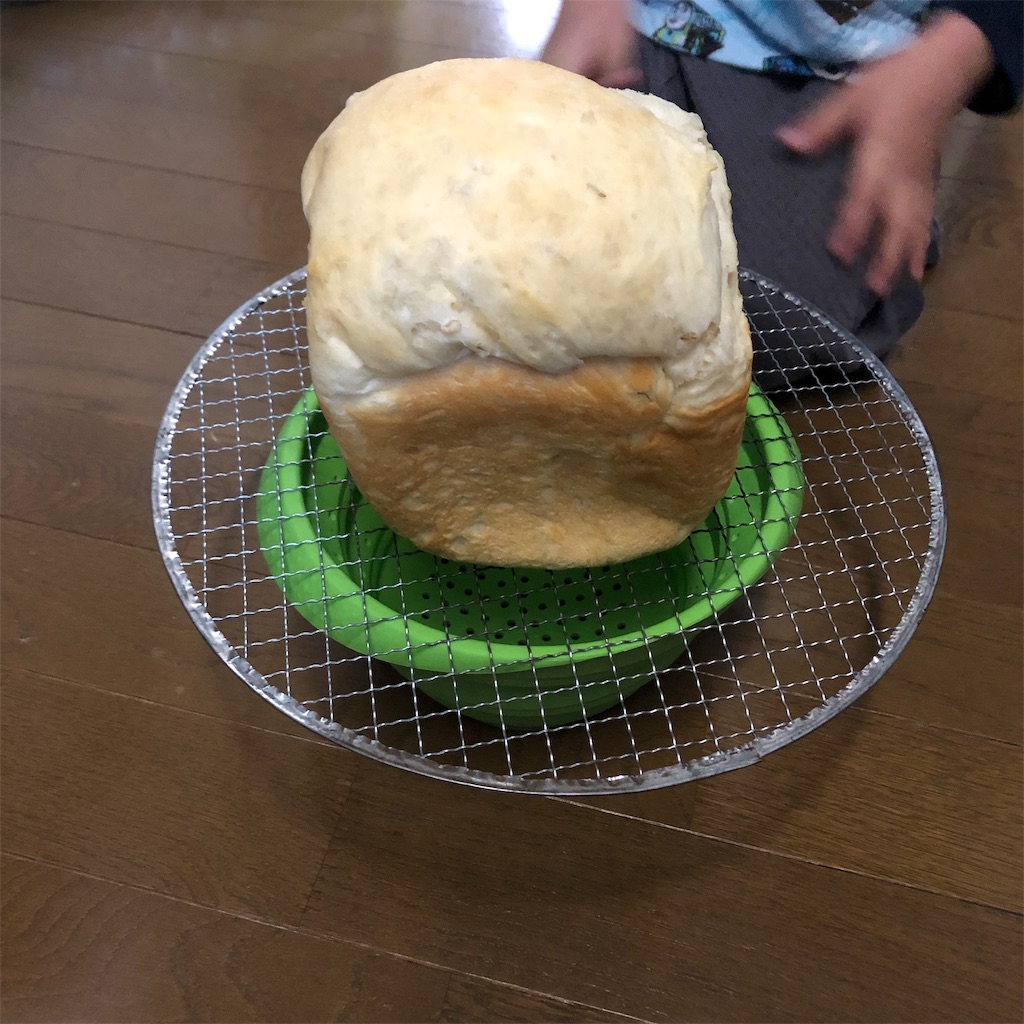 f:id:mamabloom:20190412212510j:image