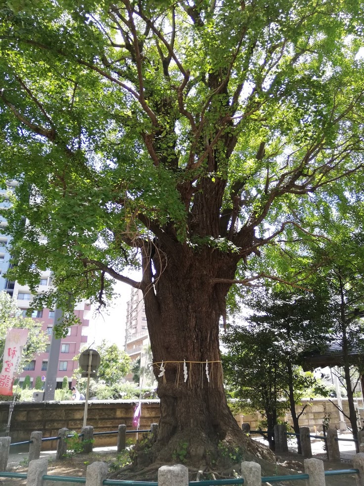 f:id:mamagotoism:20180826170046j:plain f:id:mamagotoism:20180826170046j:plain