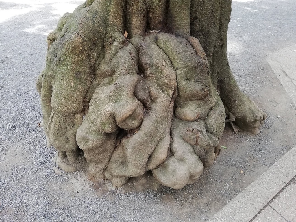 f:id:mamagotoism:20180901110346j:plain f:id:mamagotoism:20180901110346j:plain