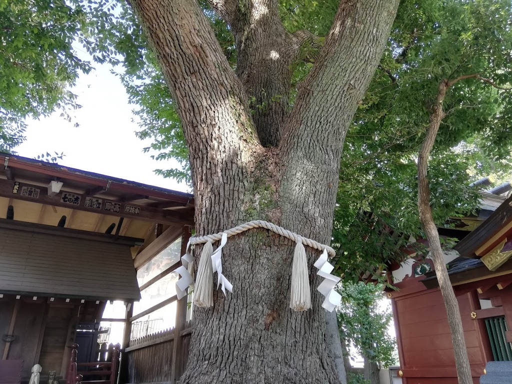 f:id:mamagotoism:20180917140834j:plain f:id:mamagotoism:20180917140834j:plain