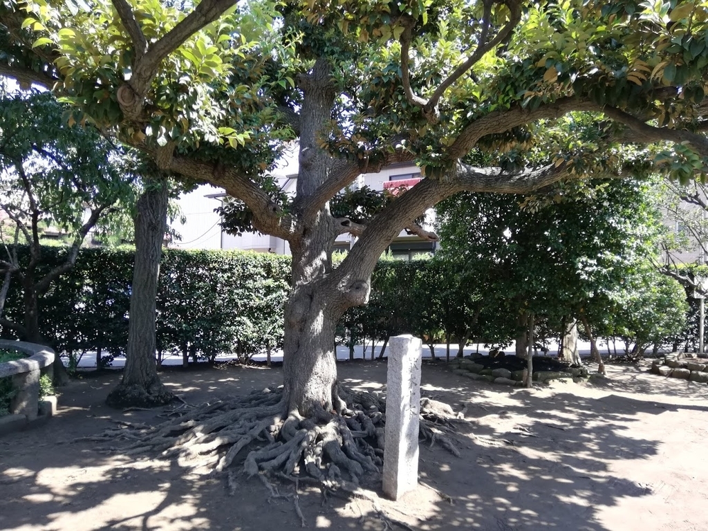 f:id:mamagotoism:20180917141501j:plain f:id:mamagotoism:20180917141501j:plain
