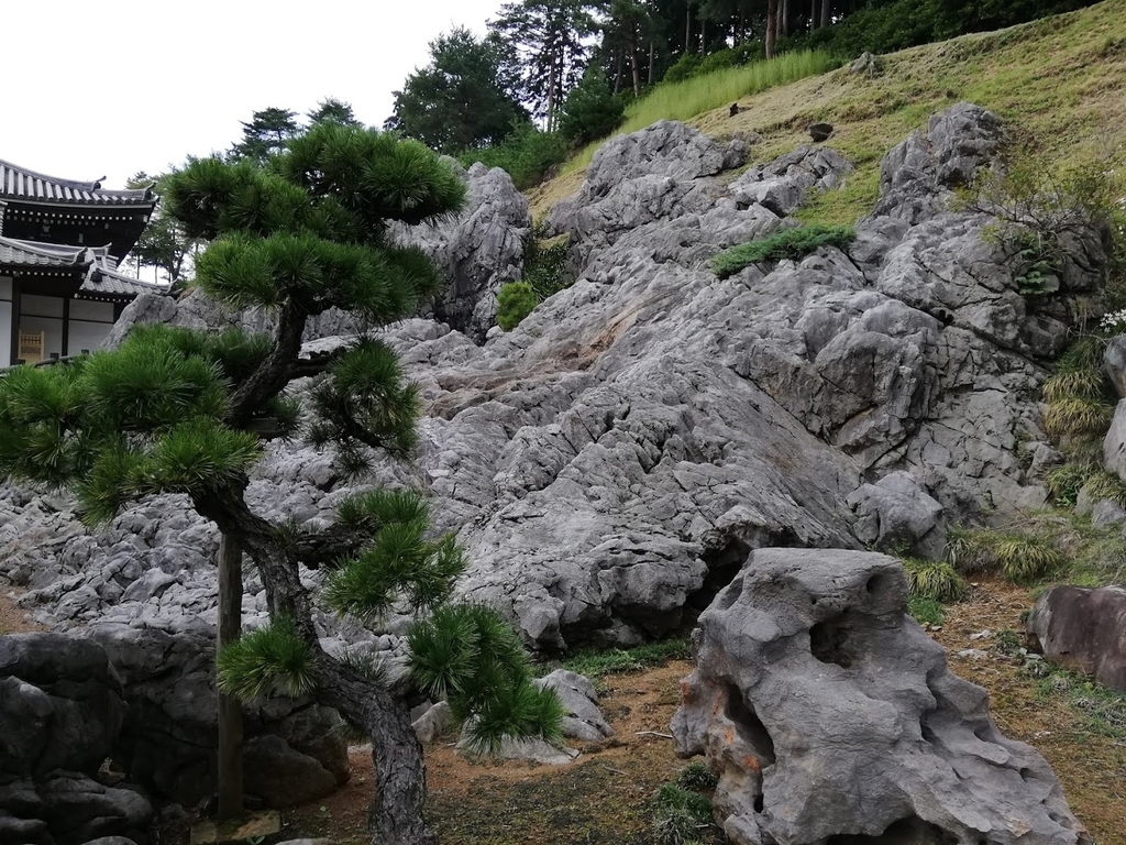 f:id:mamagotoism:20180926192439j:plain f:id:mamagotoism:20180926192439j:plain