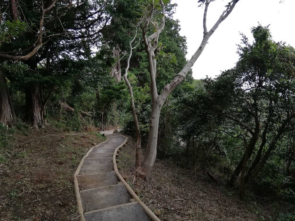 f:id:mamagotoism:20181008171805j:plain f:id:mamagotoism:20181008171805j:plain