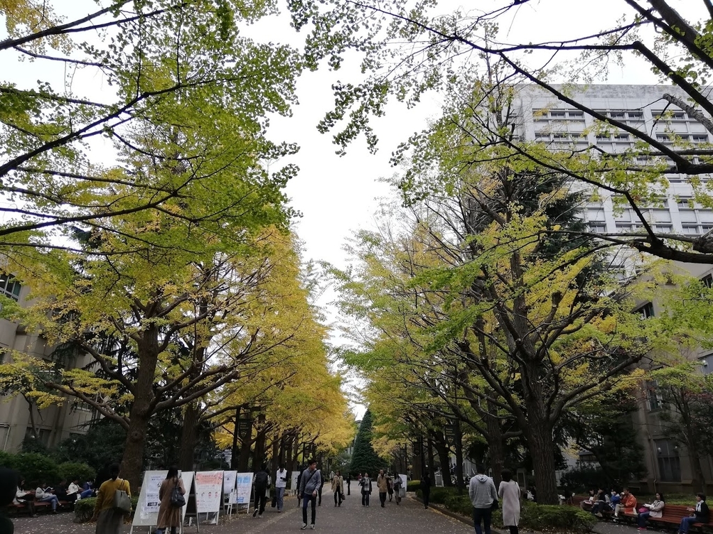 f:id:mamagotoism:20181119225240j:plain f:id:mamagotoism:20181119225240j:plain