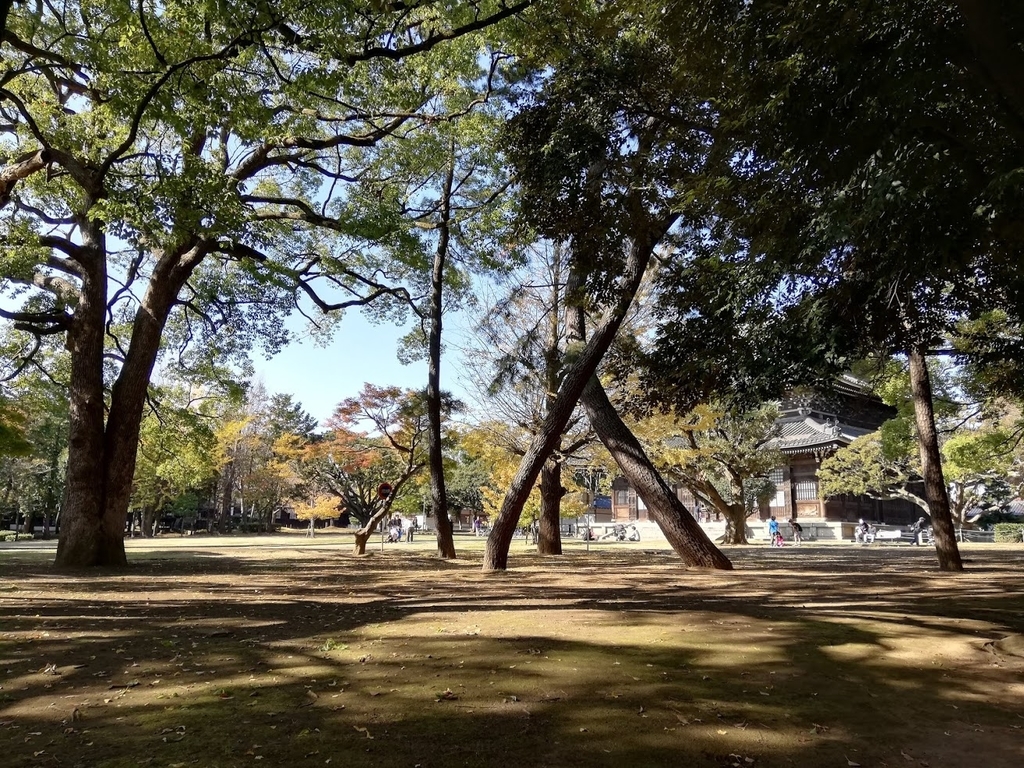 f:id:mamagotoism:20181125210816j:plain f:id:mamagotoism:20181125210816j:plain