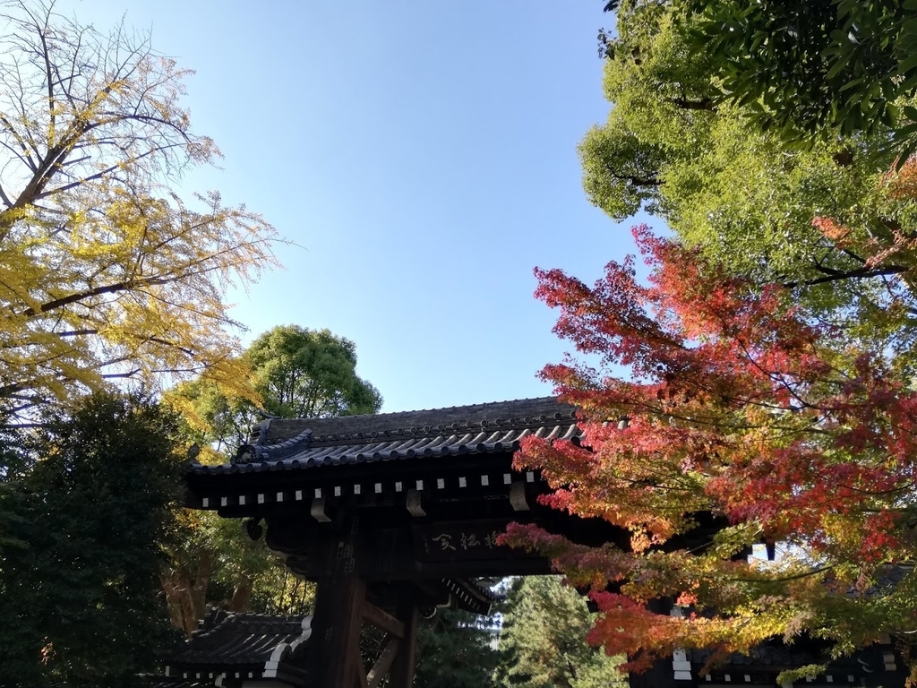 f:id:mamagotoism:20181204220526j:plain f:id:mamagotoism:20181204220526j:plain