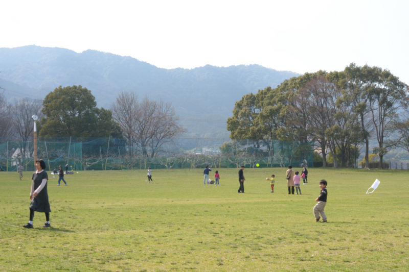 f:id:mamajanaiwatashi:20140524102902j:image:w390