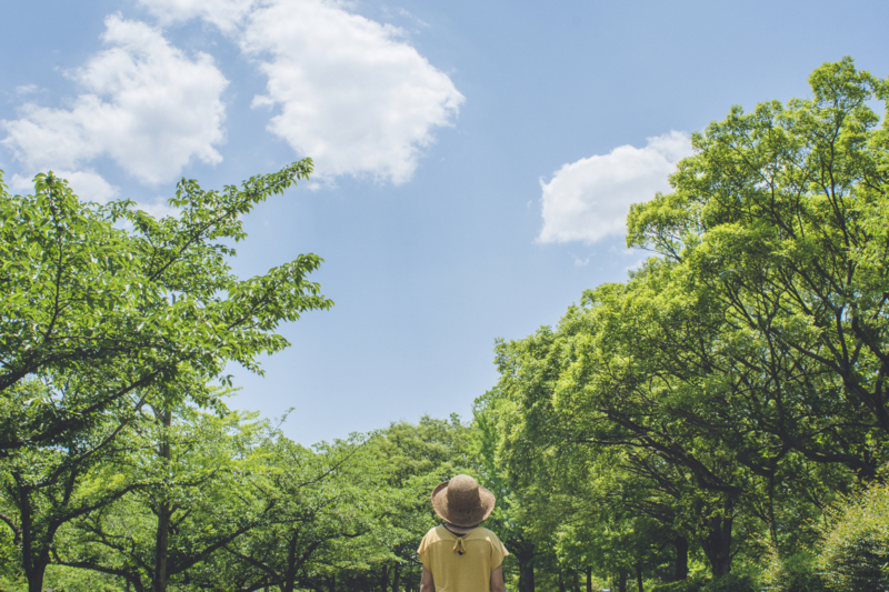 f:id:mamajanaiwatashi:20160601125548j:plain