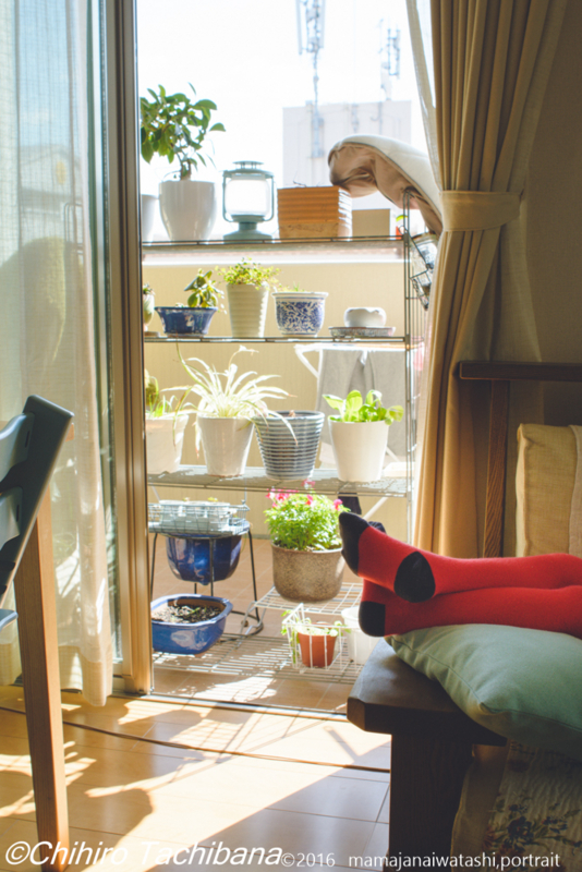 f:id:mamajanaiwatashi:20161203232021j:image:w640 f:id:mamajanaiwatashi:20161203232021j:image:w640