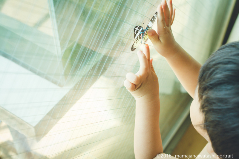 f:id:mamajanaiwatashi:20161203232053j:image:w640 f:id:mamajanaiwatashi:20161203232053j:image:w640