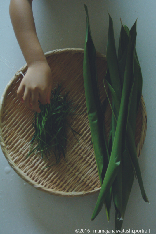 f:id:mamajanaiwatashi:20161203232100j:image:w640 f:id:mamajanaiwatashi:20161203232100j:image:w640