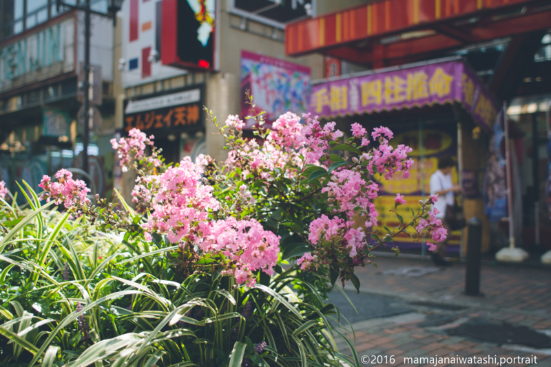 f:id:mamajanaiwatashi:20161203232109j:image:w640 f:id:mamajanaiwatashi:20161203232109j:image:w640