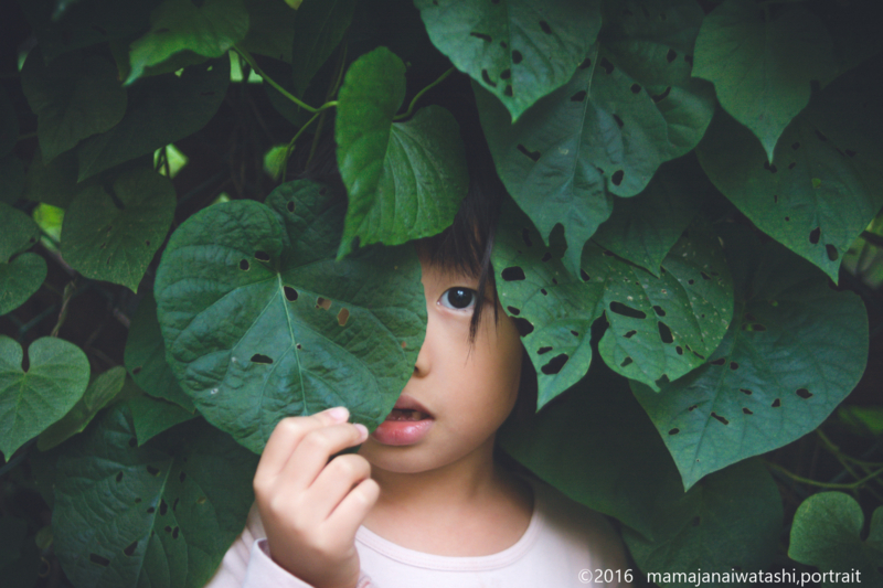 f:id:mamajanaiwatashi:20161203232112j:image:w640 f:id:mamajanaiwatashi:20161203232112j:image:w640