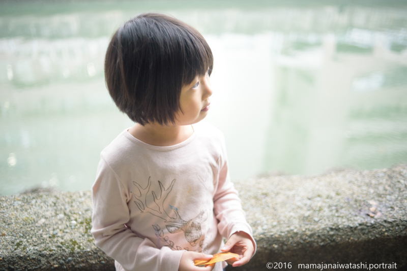 f:id:mamajanaiwatashi:20161203232121j:plain f:id:mamajanaiwatashi:20161203232121j:plain