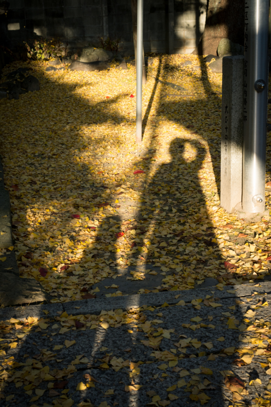 f:id:mamajanaiwatashi:20161208163531j:image:w640 f:id:mamajanaiwatashi:20161208163531j:image:w640