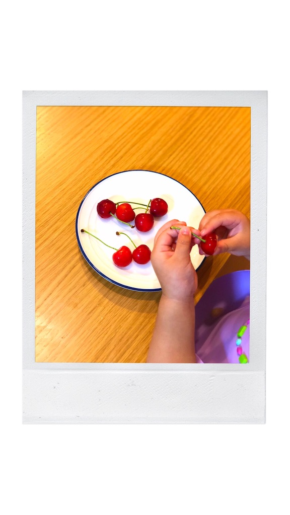 f:id:mamajoydr:20190423111155j:image f:id:mamajoydr:20190423111155j:image