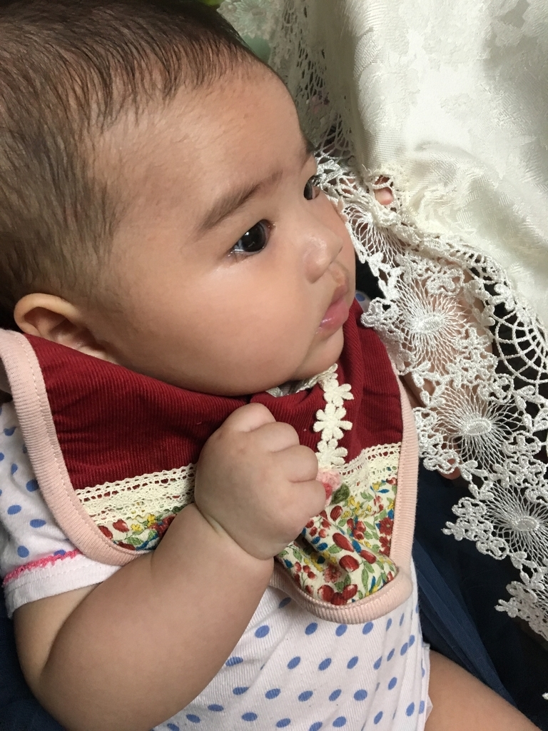 f:id:mamakarinn:20180920131231j:plain