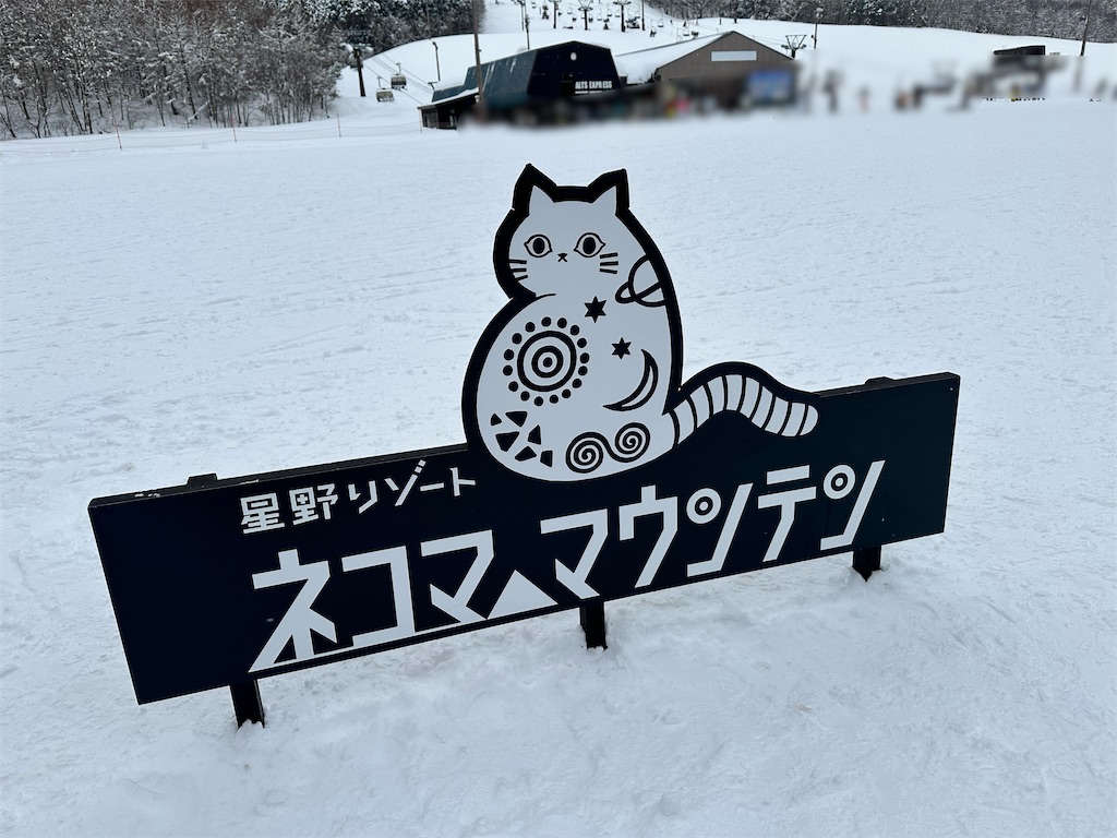 f:id:mamakuma0511:20250122010921j:image