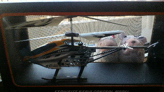 f:id:mamam:20121016145700j:image