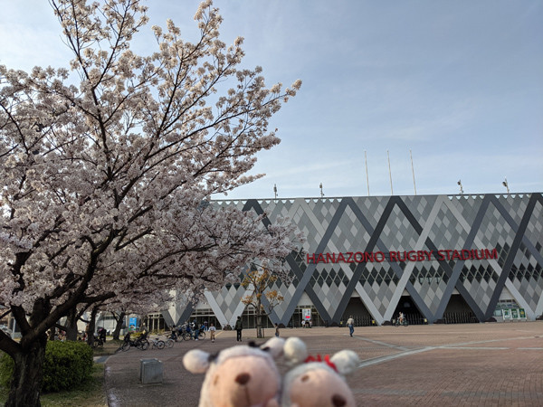 花園桜通り 中央公園 恩智川 ひのとり だら めもりぃ 花園桜通り 中央公園 恩智川 ひのとり だら めもりぃ
