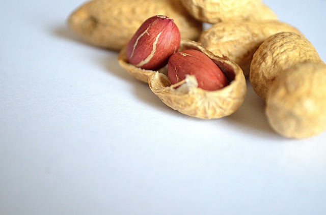 落花生殻付き食べ方 美味しい茹で方から保存方法まで ライムニュース