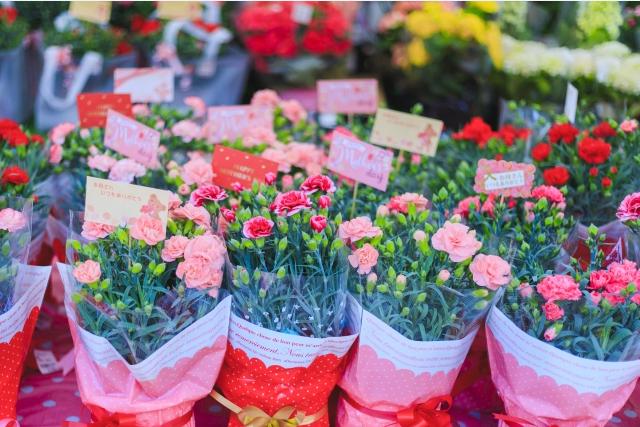 f:id:mamamaccori:20190517230657j:plain