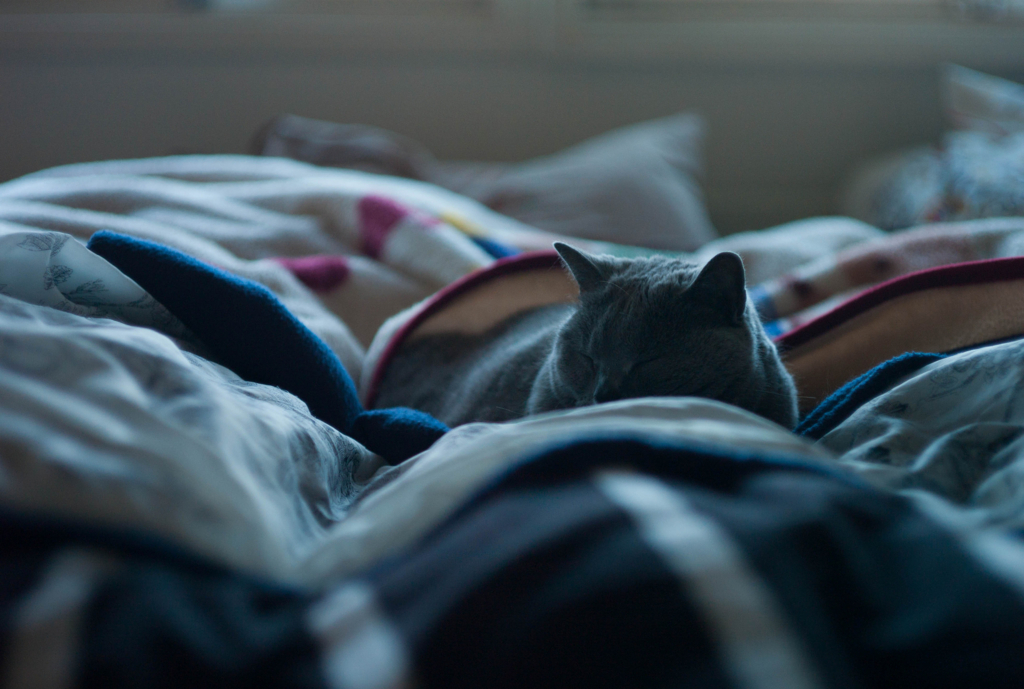 Leica M8 【作例あり】 Leica M8 を1ヶ月ちょい使った感想 - にゃんぶろ