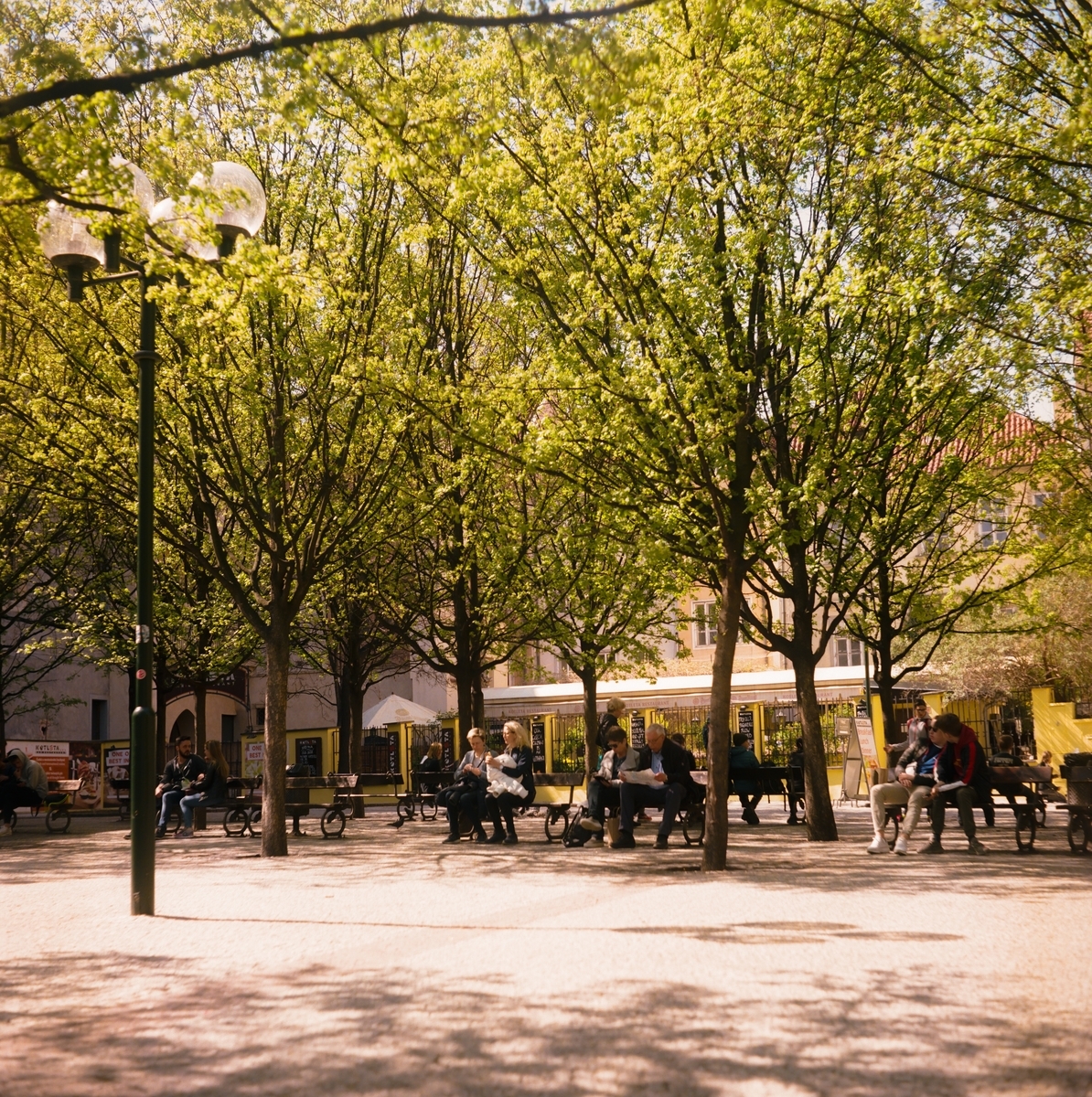 f:id:mamamanax:20190430083318j:plain