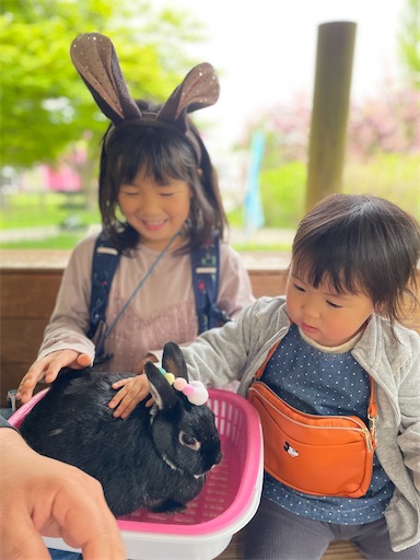 f:id:mamananoyo:20220430200236j:image