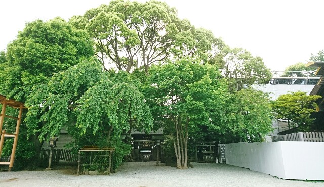 f:id:mamano-egao:20180519170621j:image