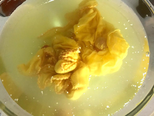 f:id:mamapri:20190909144630j:plain f:id:mamapri:20190909144630j:plain