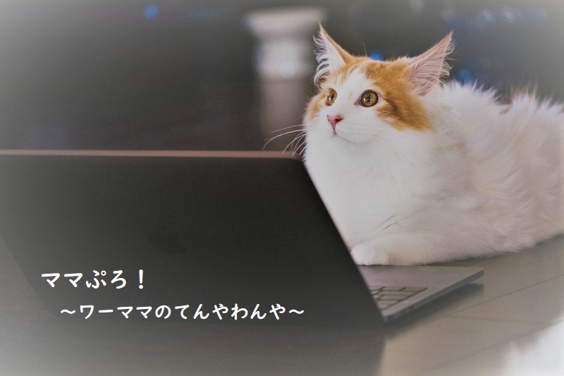 ママぷろ!~ワーママのてんやわんや~