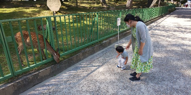 f:id:mamarakuclub:20201210231941j:image f:id:mamarakuclub:20201210231941j:image